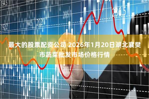 最大的股票配资公司 2026年1月20日湖北襄樊市蔬菜批发市场价格行情
