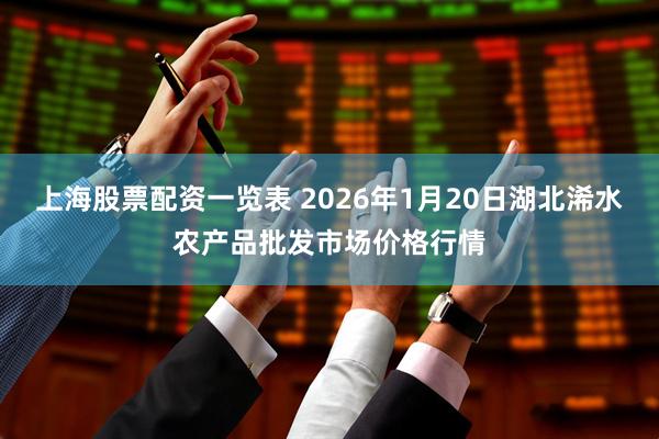 上海股票配资一览表 2026年1月20日湖北浠水农产品批发市场价格行情