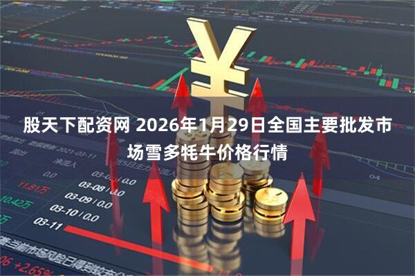 股天下配资网 2026年1月29日全国主要批发市场雪多牦牛价格行情