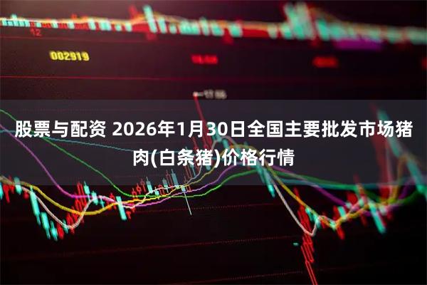 股票与配资 2026年1月30日全国主要批发市场猪肉(白条猪)价格行情